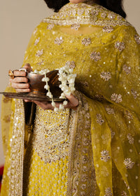 Haseens | Gulal Formals | Zarqam by Haseens - Designer Dress  - Type : Ladies Clothes - Available at Libayah - 100% Original 