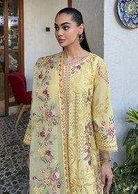 Haseens | Raha Pret | Inshara by Haseens - Designer Dress  - Type : Ladies Clothes - Available at Libayah - 100% Original 