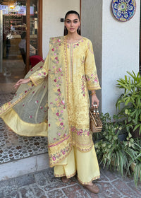 Haseens | Raha Pret | Inshara by Haseens - Designer Dress  - Type : Ladies Clothes - Available at Libayah - 100% Original 