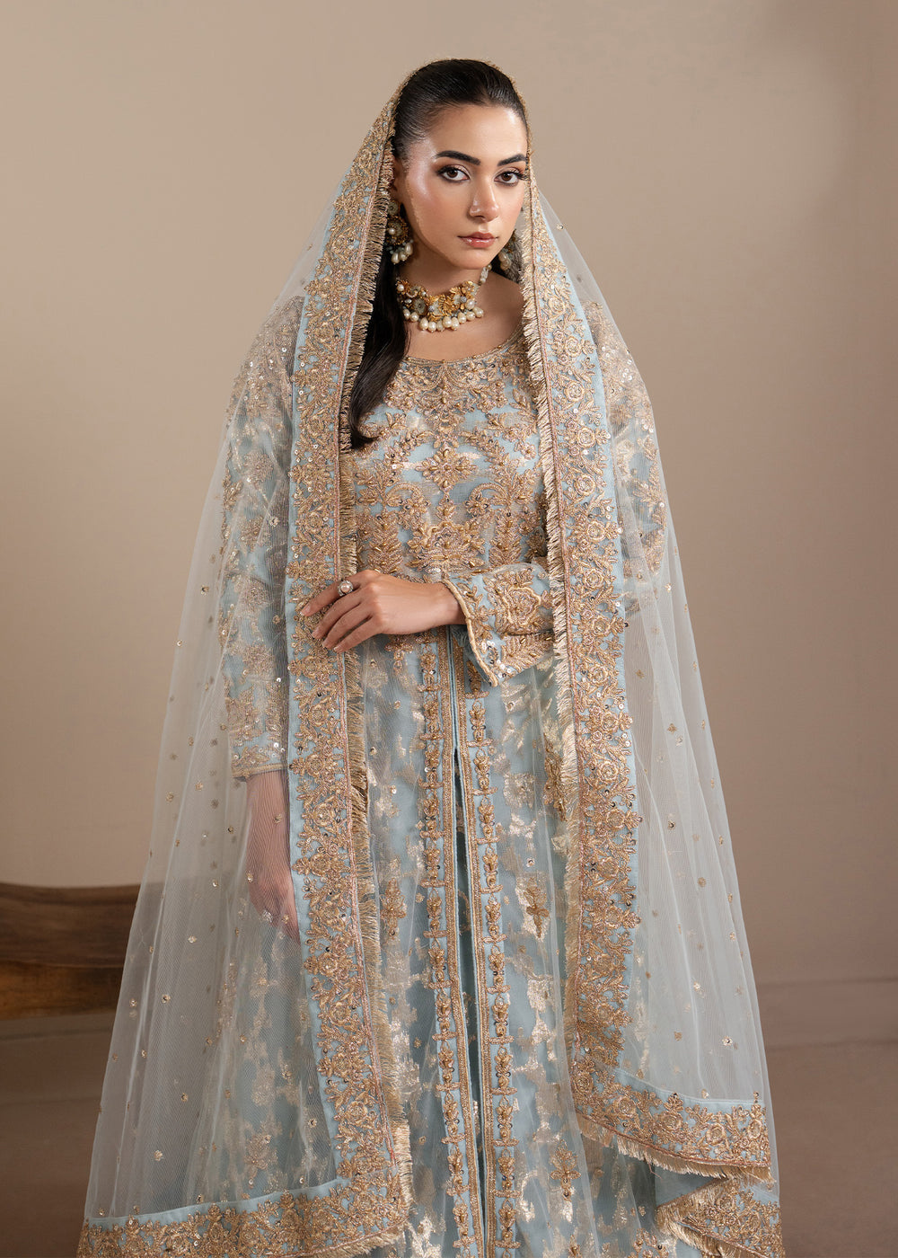Haseens | Sakhiyan Formals | Shehnaaz by Haseens - Designer Dress  - Type : Ladies Clothes - Available at Libayah - 100% Original 