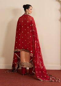 Haseens | Sakhiyan Formals | Shaan by Haseens - Designer Dress  - Type : Ladies Clothes - Available at Libayah - 100% Original 