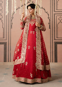 Haseens | Naqs Formals |Noorjahan by Haseens - Designer Dress  - Type : Ladies Clothes - Available at Libayah - 100% Original 