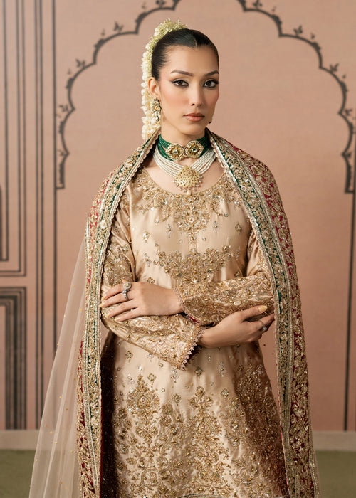 Haseens | Naqs Formals |Insiya by Haseens - Designer Dress  - Type : Ladies Clothes - Available at Libayah - 100% Original 