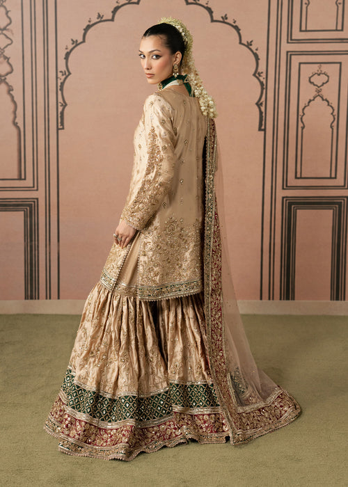 Haseens | Naqs Formals |Insiya by Haseens - Designer Dress  - Type : Ladies Clothes - Available at Libayah - 100% Original 