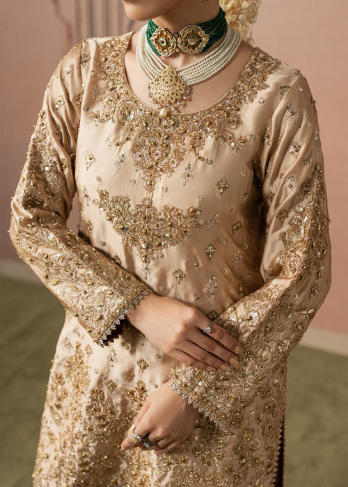 Haseens | Naqs Formals |Insiya by Haseens - Designer Dress  - Type : Ladies Clothes - Available at Libayah - 100% Original 