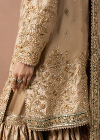 Haseens | Naqs Formals |Insiya by Haseens - Designer Dress  - Type : Ladies Clothes - Available at Libayah - 100% Original 