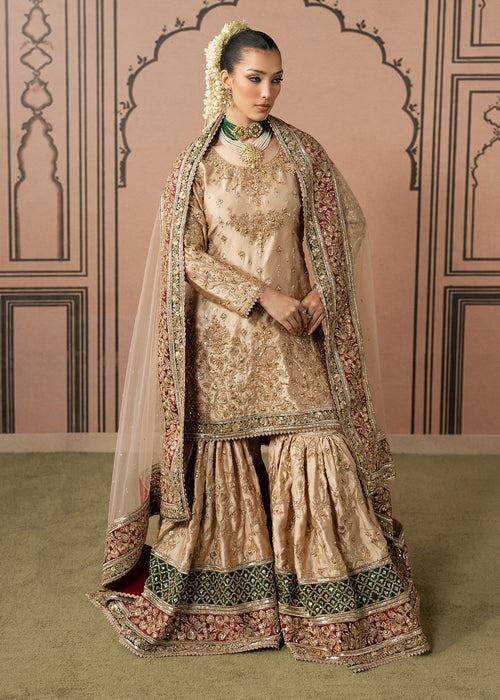 Haseens | Naqs Formals |Insiya by Haseens - Designer Dress  - Type : Ladies Clothes - Available at Libayah - 100% Original 