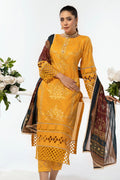 House of Nawab | Lawn Collection 24 | AEMA by House of Nawab - Designer Dress - Type: Ladies Clothes - Available at Libayah - 100% Original