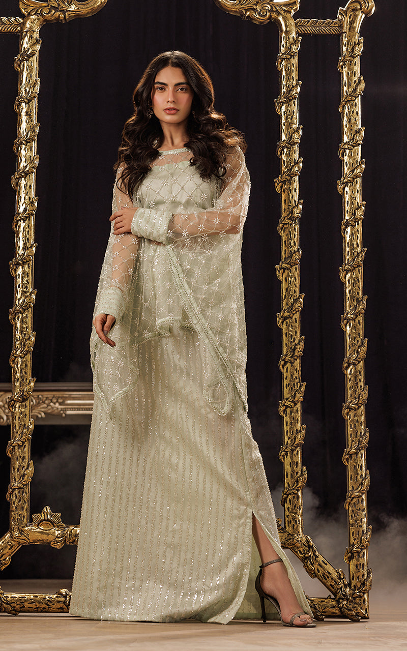 Threads and Motifs | Formal Dresses 25 | Net Embroidered Cape With Tube And Skirt by Threads and Motifs - Designer Dress  - Type : Ladies Clothes - Available at Libayah - 100% Original 