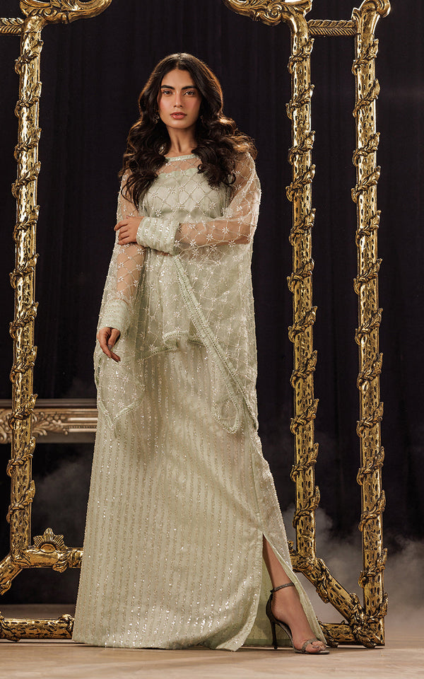 Threads and Motifs | Formal Dresses 25 | Net Embroidered Cape With Tube And Skirt by Threads and Motifs - Designer Dress  - Type : Ladies Clothes - Available at Libayah - 100% Original 