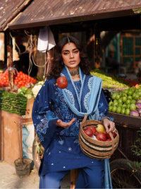 Binilyas | Suroor Eid Pret 26 |244-B - Designer Dress - Type : Ladies Clothes - Available at Libayah - 100% Original