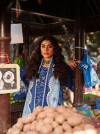 Binilyas | Suroor Eid Pret 26 |244-B - Designer Dress - Type : Ladies Clothes - Available at Libayah - 100% Original