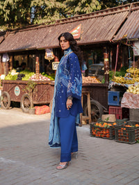 Binilyas | Suroor Eid Pret 26 |244-B - Designer Dress - Type : Ladies Clothes - Available at Libayah - 100% Original