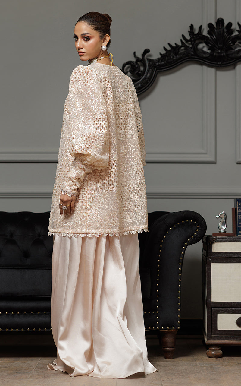 Threads and Motifs | Formal Dresses 25 | Organza Embroidered Jacket With Embroidered Tube And Skirt by Threads and Motifs - Designer Dress  - Type : Ladies Clothes - Available at Libayah - 100% Original 