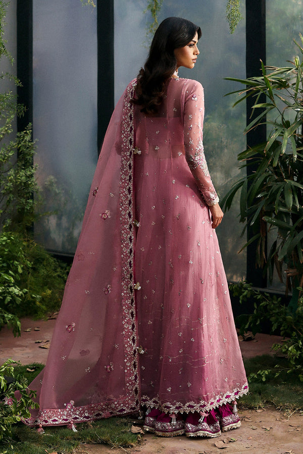 Afrozeh | La Fuschia 25 | Seraira by Afrozeh - Designer Dress  - Type : Ladies Clothes - Available at Libayah - 100% Original 