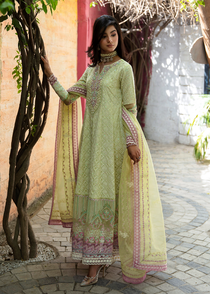 Maria Osama Khan | Rang e Noor Eid Edit | Nargis-Yellow