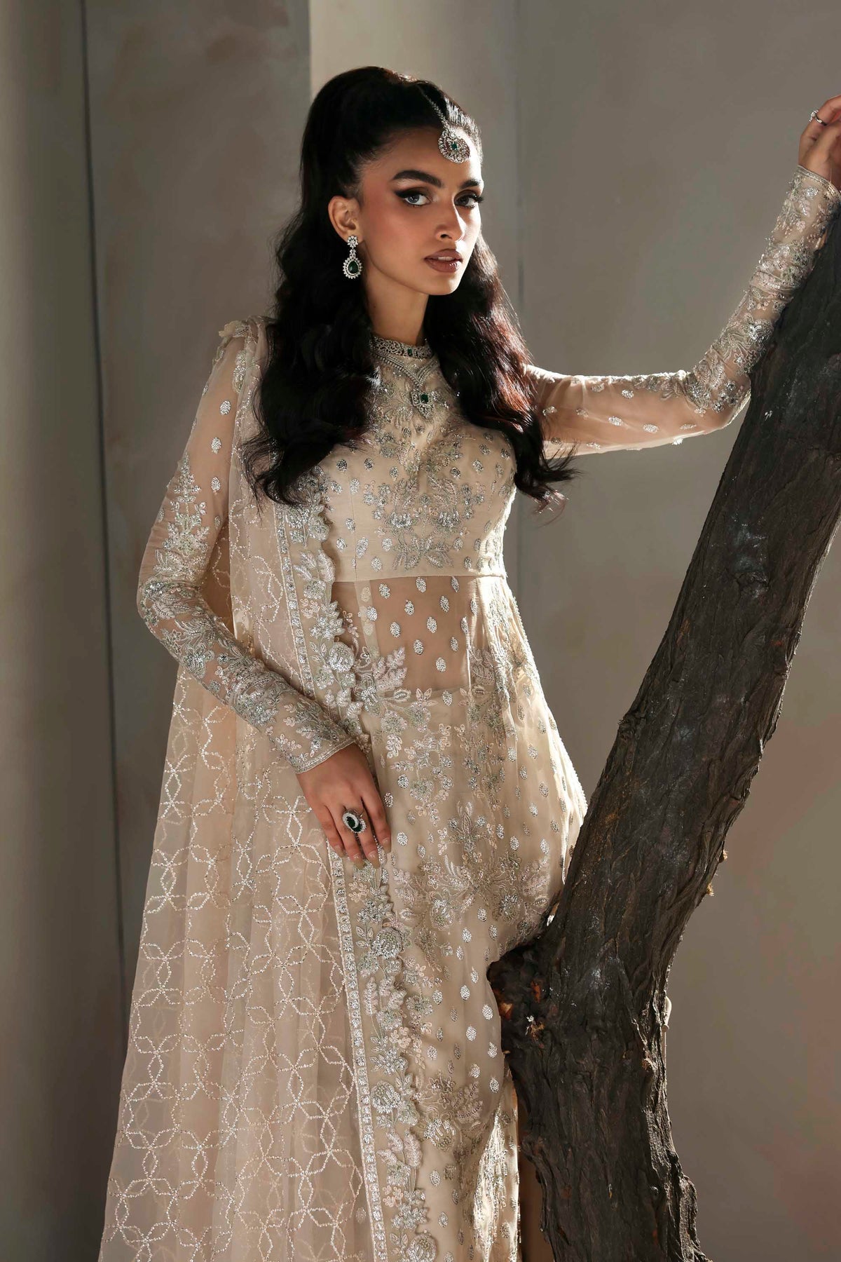 Akbar Aslam | Meeras Luxury Chiffon 25 | Sehrya