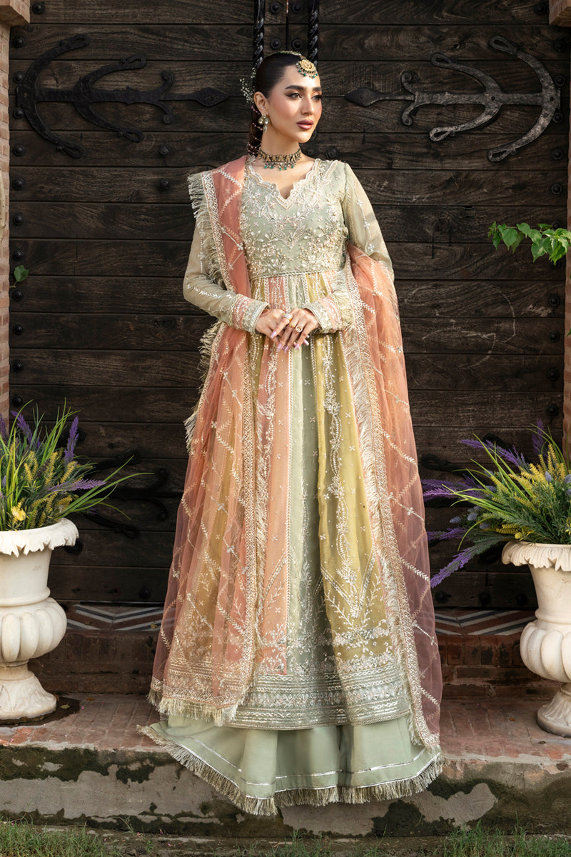 Rangrasiya | Wedding Formals 25 | Amil by Rangrasiya - Designer Dress  - Type : Ladies Clothes - Available at Libayah - 100% Original 
