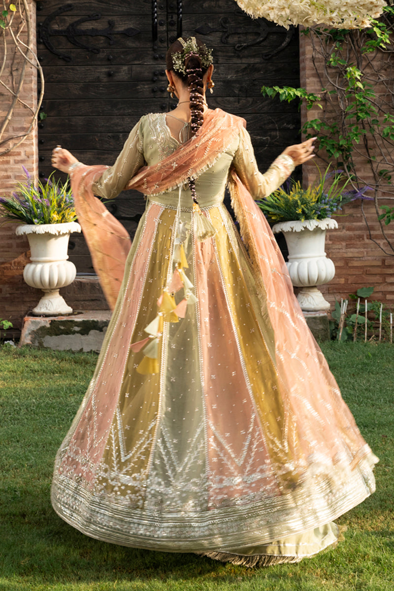 Rangrasiya | Wedding Formals 25 | Amil by Rangrasiya - Designer Dress  - Type : Ladies Clothes - Available at Libayah - 100% Original 