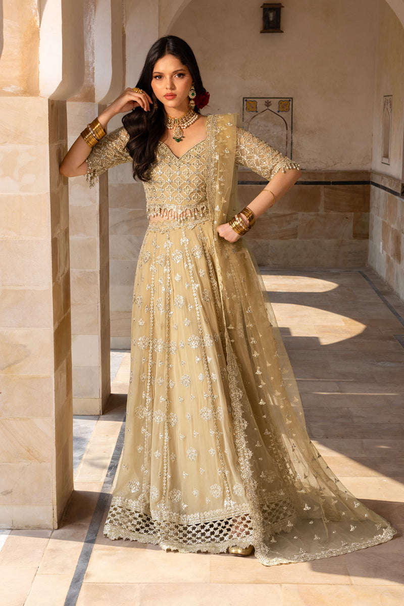 Rangrasiya | Chiffon Formals | Zaiena by Rangrasiya - Designer Dress  - Type : Ladies Clothes - Available at Libayah - 100% Original 