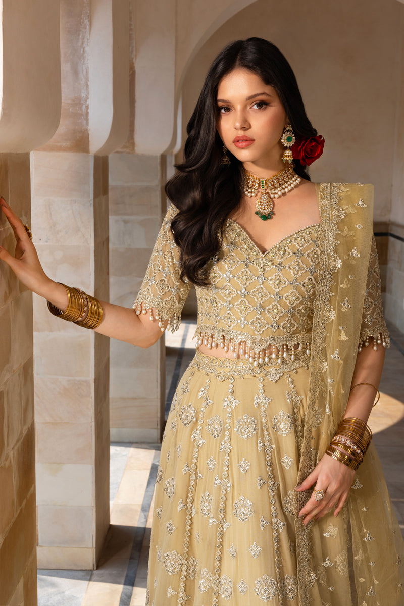 Rangrasiya | Chiffon Formals | Zaiena by Rangrasiya - Designer Dress  - Type : Ladies Clothes - Available at Libayah - 100% Original 