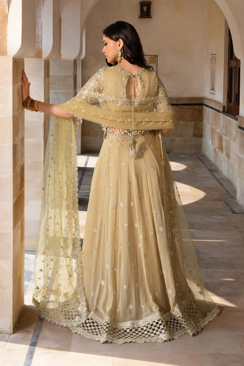 Rangrasiya | Chiffon Formals | Zaiena by Rangrasiya - Designer Dress  - Type : Ladies Clothes - Available at Libayah - 100% Original 