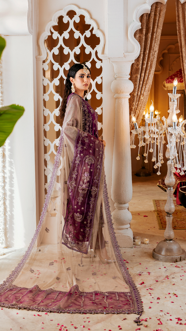 Zebtan | Zircon Wedding Formals | AFREEN ZQ-08 by Zebtan - Designer Dress - Type: Ladies Clothes - Available at Libayah - 100% Original