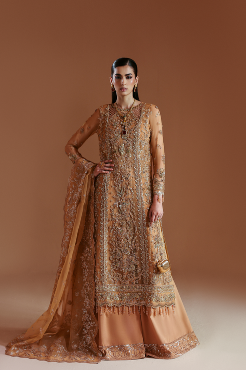EMBER – authentic Pakistani formal dress from the Emaan Adeel Celestique Formals 25 collection for women in the UK.