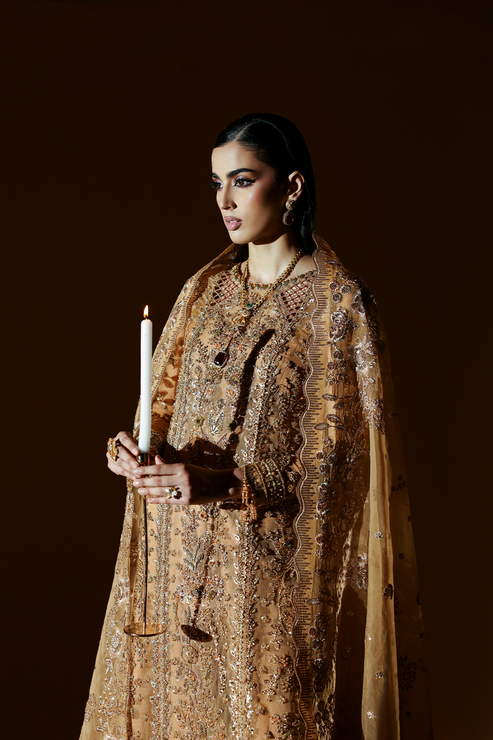 EMBER – authentic Pakistani formal dress from the Emaan Adeel Celestique Formals 25 collection for women in the UK.