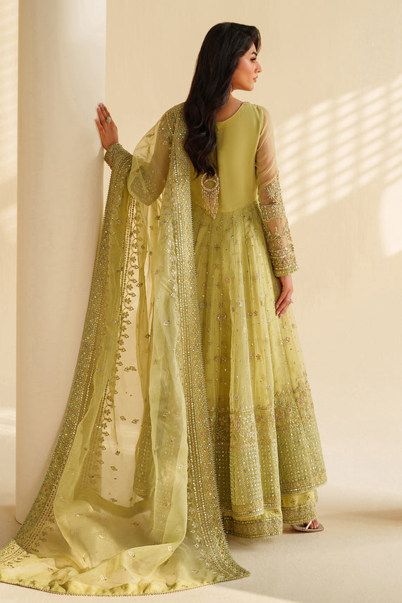 Naqshi | Feemora Organza Raw Silk | Zeesha by Naqshi - Designer Dress  - Type : Ladies Clothes - Available at Libayah - 100% Original 