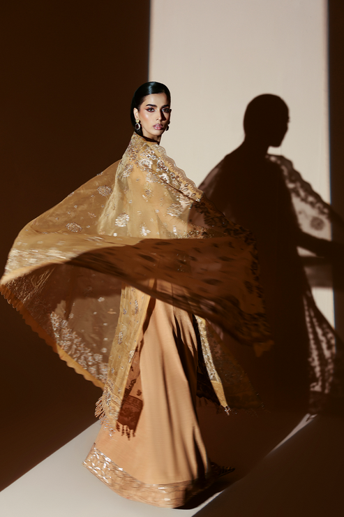 EMBER – authentic Pakistani formal dress from the Emaan Adeel Celestique Formals 25 collection for women in the UK.