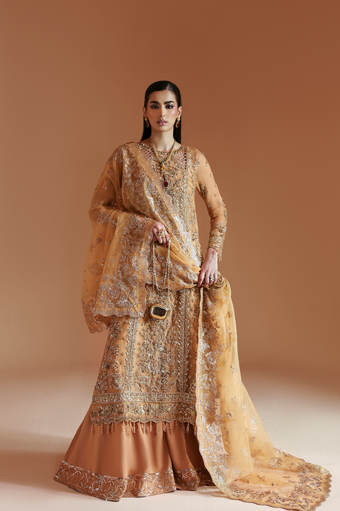 EMBER – authentic Pakistani formal dress from the Emaan Adeel Celestique Formals 25 collection for women in the UK.