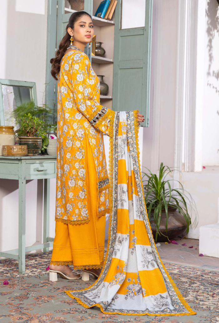 Humdum | Rang e Noor SS 24 | D04 by HumDum - Designer Dress - Type: Ladies Clothes - Available at Libayah - 100% Original