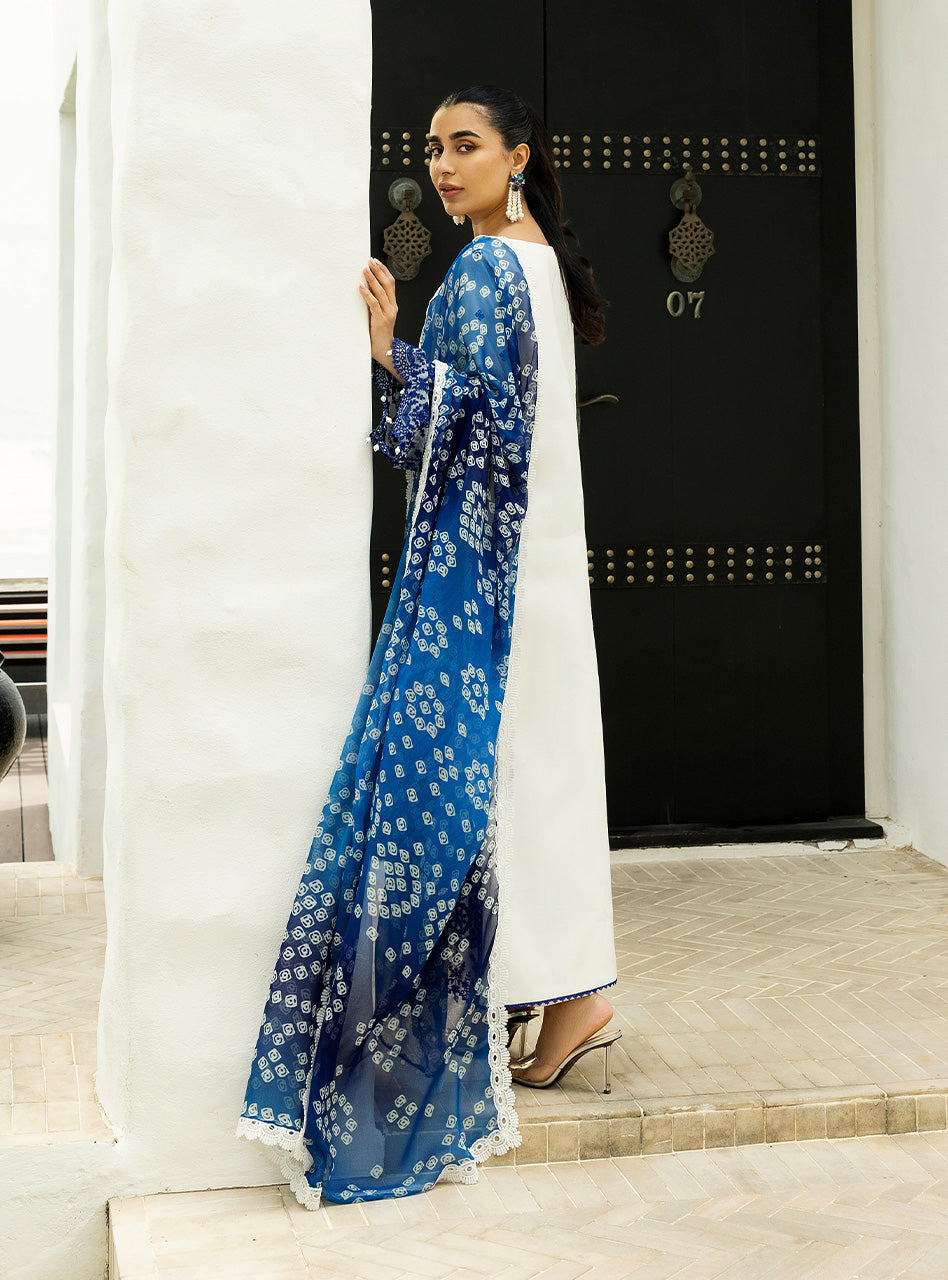 Zainab Chottani | Chikankari 25 | Reem - 8A by Zainab Chottani - Designer Dress - Type: Ladies Clothes - Available at Libayah - 100% Original