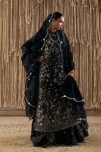 Kiaray – authentic Pakistani formal dress from the Suffuse Freeshia Rtw 25 collection for women in the UK