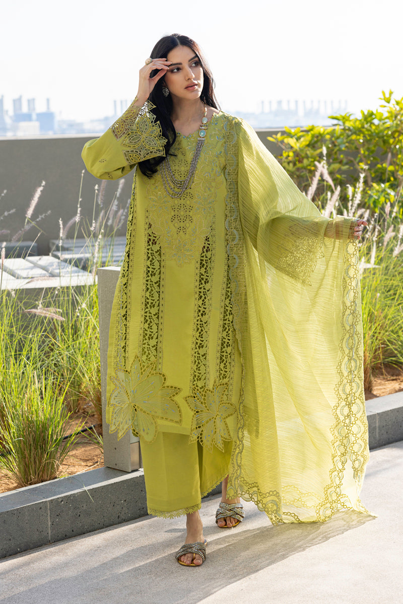 Rangrasiya | Carnation Summer Edit 25 | Aaleen by Rangrasiya - Designer Dress - Type: Ladies Clothes - Available at Libayah - 100% Original