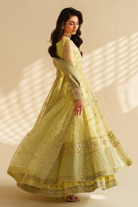 Naqshi | Feemora Organza Raw Silk | Zeesha by Naqshi - Designer Dress  - Type : Ladies Clothes - Available at Libayah - 100% Original 