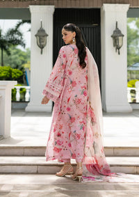 Elaf Premium | Signature Embroidered Lawn with Chiffon Collection 26 | ESG-4B MIRA by Elaf Premium - Designer Dress  - Type : Ladies Clothes - Available at Libayah - 100% Original 