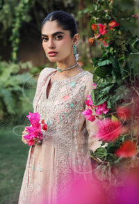 Afrozeh | Basic Pret 26 RTW | NACRE by Afrozeh - Designer Dress  - Type : Ladies Clothes - Available at Libayah - 100% Original 