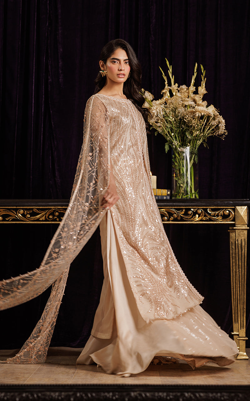 Threads and Motifs | Formal Dresses 25 | Net Embroidered Dress With Skirt by Threads and Motifs - Designer Dress  - Type : Ladies Clothes - Available at Libayah - 100% Original 