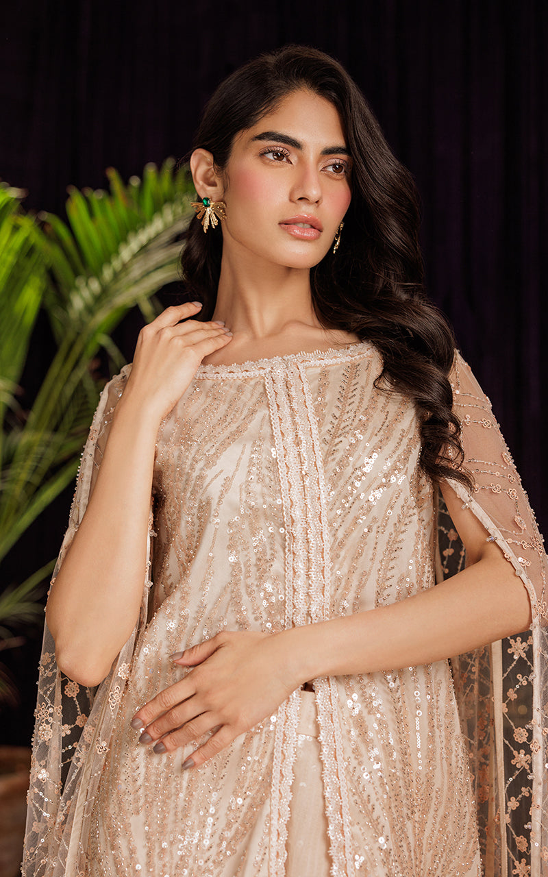 Threads and Motifs | Formal Dresses 25 | Net Embroidered Dress With Skirt by Threads and Motifs - Designer Dress  - Type : Ladies Clothes - Available at Libayah - 100% Original 