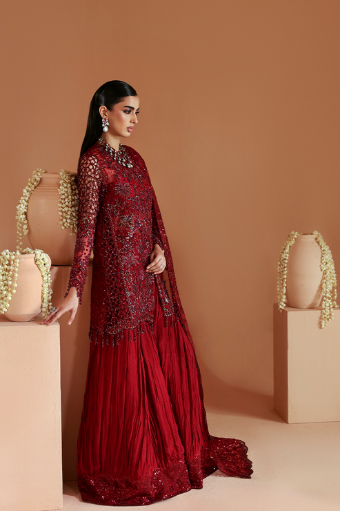 SCARLET – authentic Pakistani formal dress from the Emaan Adeel Celestique Formals 25 collection for women in the UK.
