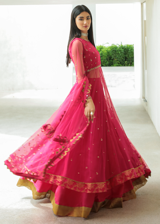Purple Haze Pret Studio | Apsara Formals | Rose Pink Pashwas by Purple Haze - Designer Dress - Type: Ladies Clothes - Available at Libayah - 100% Original
