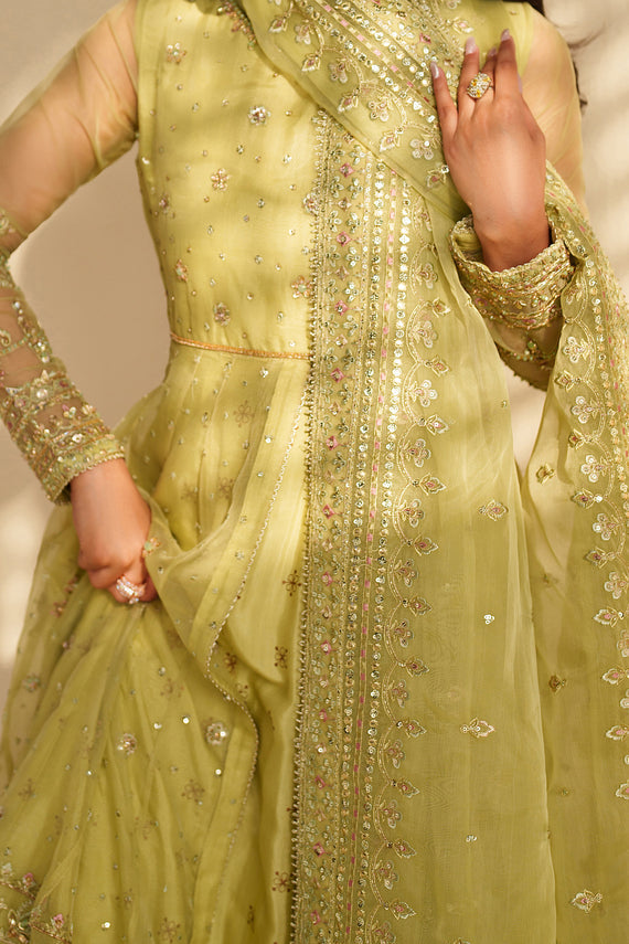 Naqshi | Feemora Organza Raw Silk | Zeesha by Naqshi - Designer Dress  - Type : Ladies Clothes - Available at Libayah - 100% Original 
