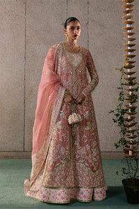 Novara – authentic Pakistani formal dress from the Suffuse Freeshia Rtw 25 collection for women in the UK