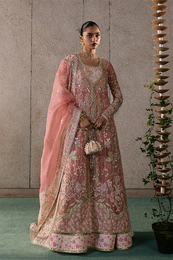 Novara – authentic Pakistani formal dress from the Suffuse Freeshia Rtw 25 collection for women in the UK