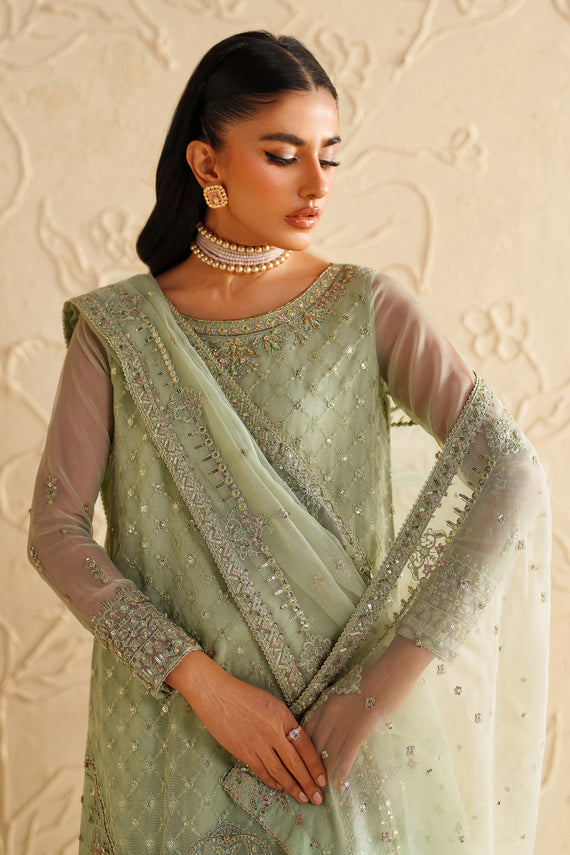 Naqshi | Feemora Organza Raw Silk | Hanam by Naqshi - Designer Dress  - Type : Ladies Clothes - Available at Libayah - 100% Original 