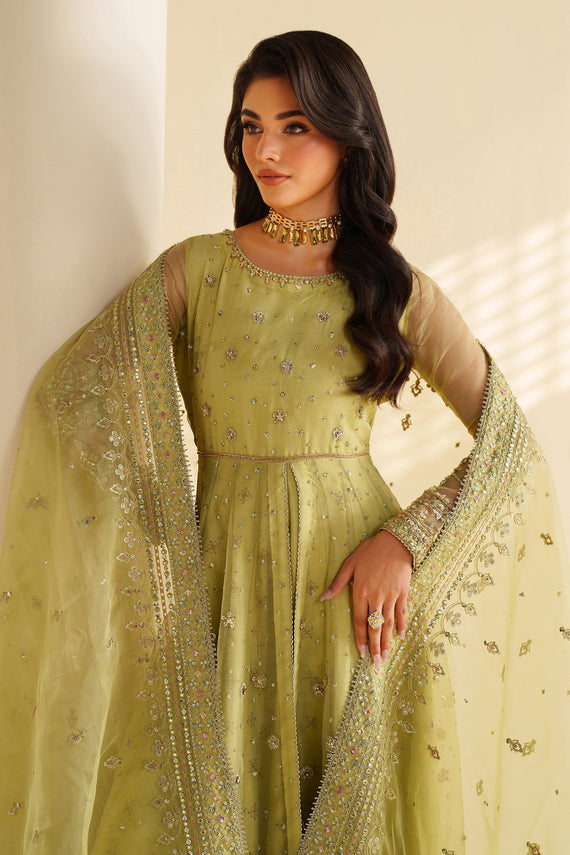 Naqshi | Feemora Organza Raw Silk | Zeesha by Naqshi - Designer Dress  - Type : Ladies Clothes - Available at Libayah - 100% Original 