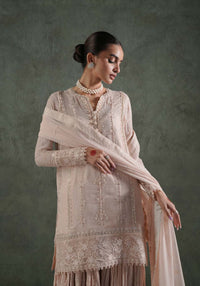 Zarqash | Lakhnawi Festive Chiffon 24 |  ZQL 008A HAIYA by Zarqash - Designer Dress - Type: Ladies Clothes - Available at Libayah - 100% Original