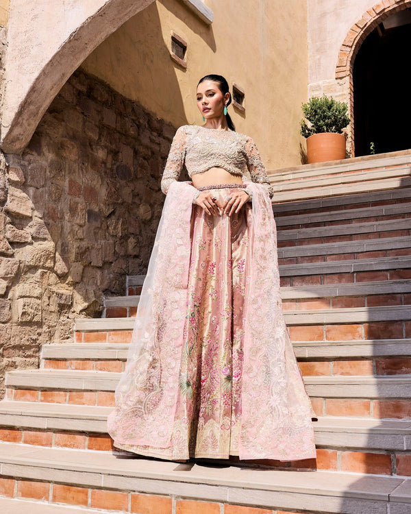Mysie by Tahira | Alara Bridals 26 | RUMAISA - by Libayah - Registered Vendor of : Mysie by Tahira - 100% Original Designer Dress